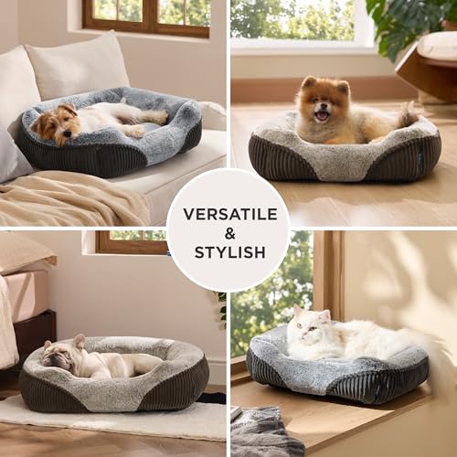 Bedsure Washable Dog Bed Small Medium Size Dog - Rectangle Fluffy Plush Pet Bed Puppy Bed, Comfy Corduroy Flee - view 7