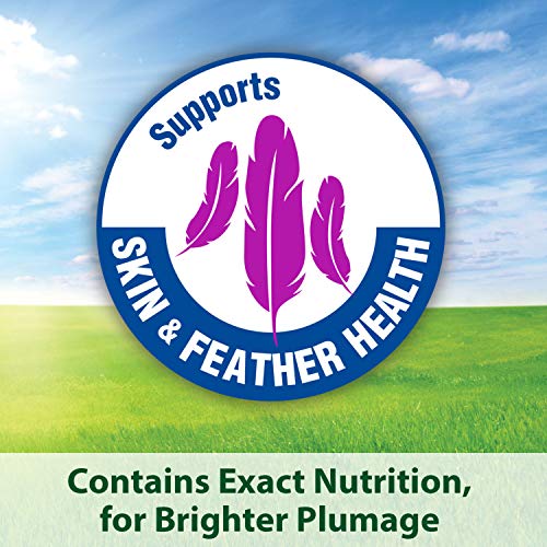 Kaytee Forti-Diet Pro Health Egg-Cite Pet Conure & Lovebird Food, 3 Pound - view 3