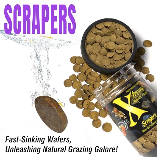 Xtreme Scrapers Wafers - Premium 14mm Fast-Sinking Fish Food – Nutrient & Cellulose Rich Ideal for Nocturnal F - view 5