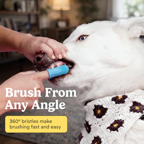 Jasper Dog Toothbrush, 360 Dog Tooth Brushing Kit, Finger Toothbrush, Cat Tooth Brush, Teeth Cleaning, Pet Too - view 3