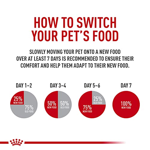Royal Canin Feline Care Nutrition Hairball Care Adult Dry Cat Food, 6 lb Bag - view 5
