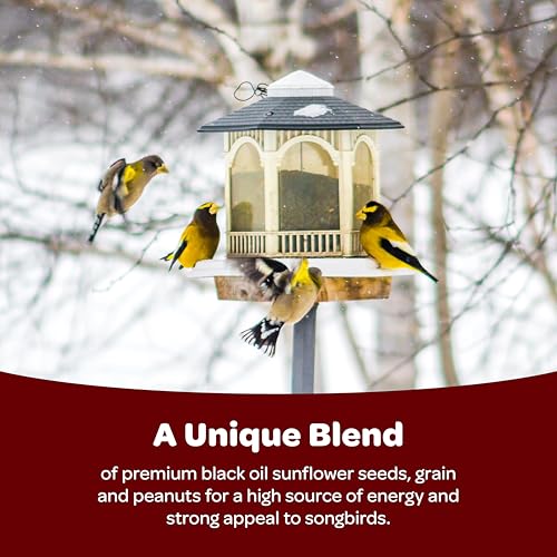 Kaytee Songbird Wild Bird Seed Food, Blended for Grosbeaks, Chickadees, Titmice, Cardinals, Nuthatches & More, - view 5