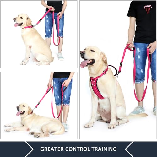 Plutus Pet Double Handle Dog Leash 6ft Long, Padded 2 Handle, Heavy Duty, Reflective Training Leash for Medium - view 4