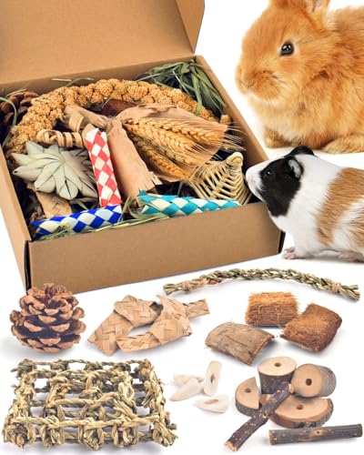 Bissap Rabbit Chew Toy, Natural Bunny Treats Snacks with Timothy Hay Water Grass Mat Coconut Husk Box for Guin - view 2