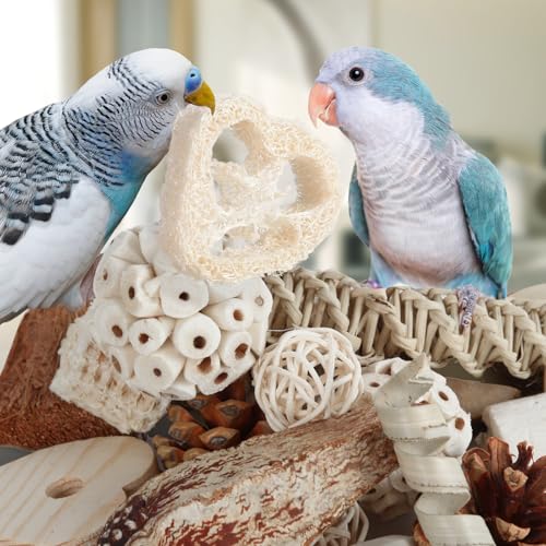 Kyouki Bird Toys Parrot Toys Natural Bird Foraging Box Foot for Parakeets,Cockatiels,Conures,Love Birds,and Ot - view 8