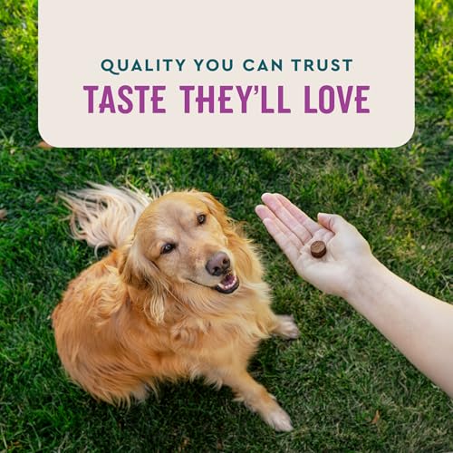 VetIQ Calming Support Supplement for Dogs, Calming Chews Help Manage Stress and Promote Relaxation, Anxiety Re - view 7