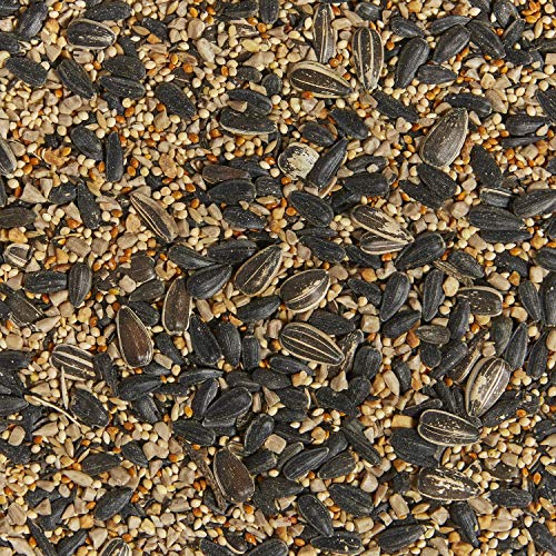 Kaytee Western Regional Wild Bird Seed, 7 lb - view 5