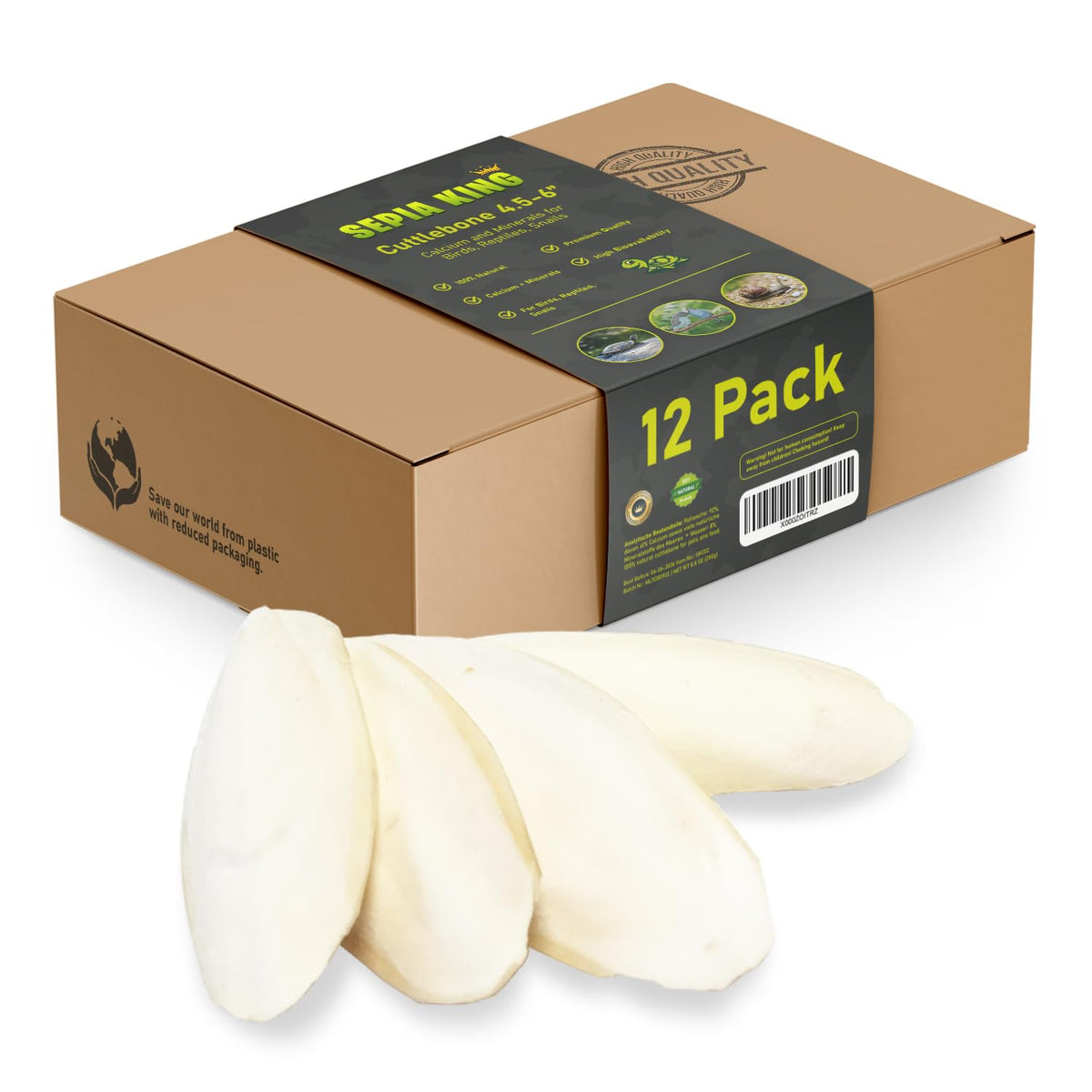 Medium - 100% Natural Calcium Supplement - Premium Cuttlebone Perfect for Birds, Tortoises, Snails, Reptiles -
