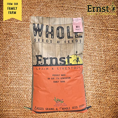 Ernst Grain & Livestock's Bird and Wildlife Feed – Perfect for Birds, Ducks, Squirrels, Turkeys, Rabbits, Gees - view 4
