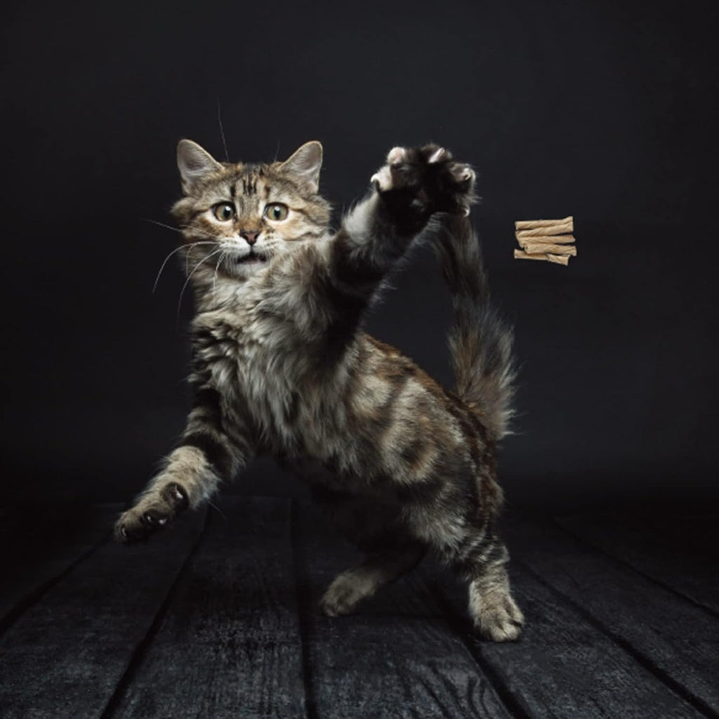 Cat Dancer Products 101 Interactive Cat Toy, Brown - view 2