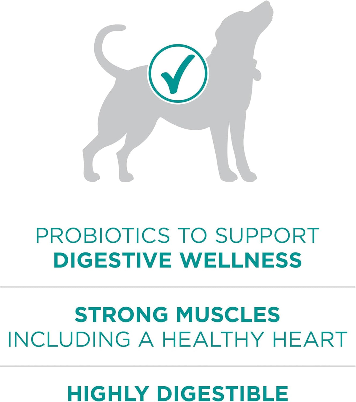 Purina One Plus Digestive Health Formula Dry Dog Food Natural with Added Vitamins, Minerals and Nutrients - 31 - view 4
