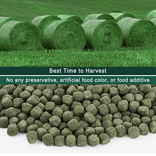 Timothy Hay Cubes 6oz -100% Natural Timothy Hay Made for Rabbits Sulcata Tortoise Guinea Pig, 6 oz - view 6