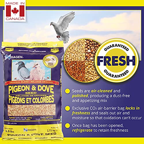 Hagen Pigeon & Dove Seed, Original Formula Bird Food, 6 lb Bag – Nutritionally Complete Seed Mix with Vitamins - view 4
