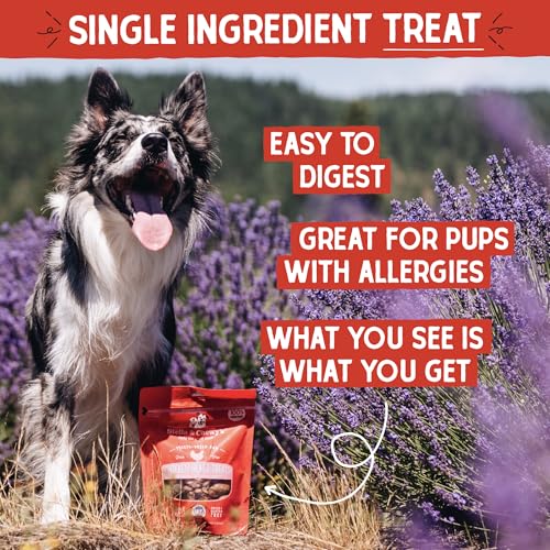 Stella & Chewy's Freeze-Dried Raw Chicken Heart Dog Treats - Single Ingredient, No Additives - Premium Trainin - view 3