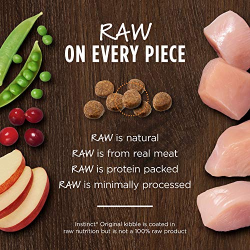 Instinct Original Dry Cat Food, Raw Coated Kibble, High Protein, Grain Free Recipe - Real Chicken, 5 lb. Bag - view 4