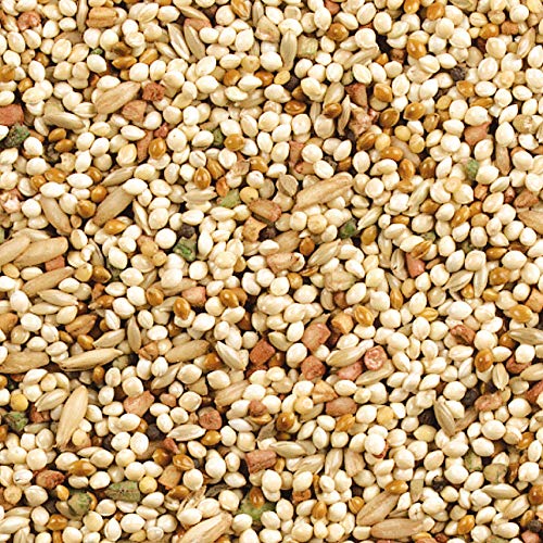 Wild Harvest Daily Blend Nutrition Diet for Parakeet, Canary and Finch 10 Pounds, Orange flavour - view 4