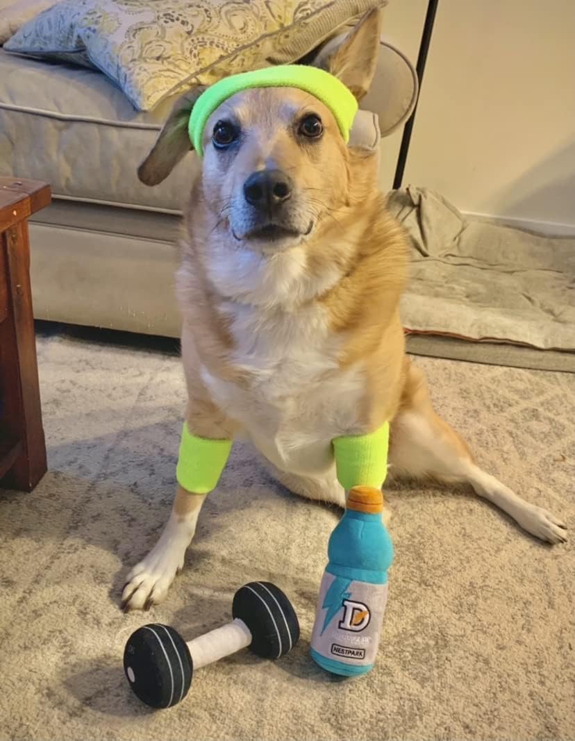 Nestpark Fitness Funny Dog Toys - Doggyade and Doggy Dumbbell Workout Parody Cute Dog Toys - 2 Pack (Workout P - view 5