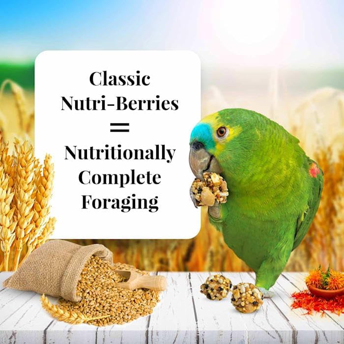 LAFEBER'S Classic Nutri-Berries Pet Bird Food, Made with Non-GMO and Human-Grade Ingredients, for Parrots, 3.2 - view 5