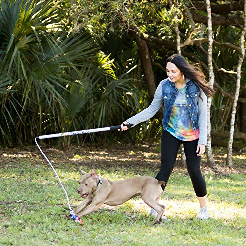 Squishy Face Studio Flirt Pole V2 with Lure - Durable Dog Toy for Fun Obedience Training & Exercise, Purple/Bl - view 3