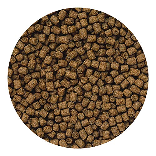 Hikari 12.3-Ounce Lionhead Sinking Pellets for Pets, Mini - view 5