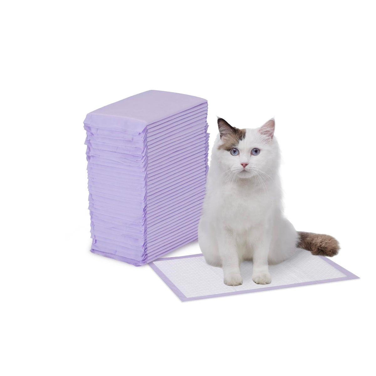 Basics Cat Litter Pee Pads, Odor Control with Fresh Scent, Super Absorbent, Disposable, Universal Fit Litter B