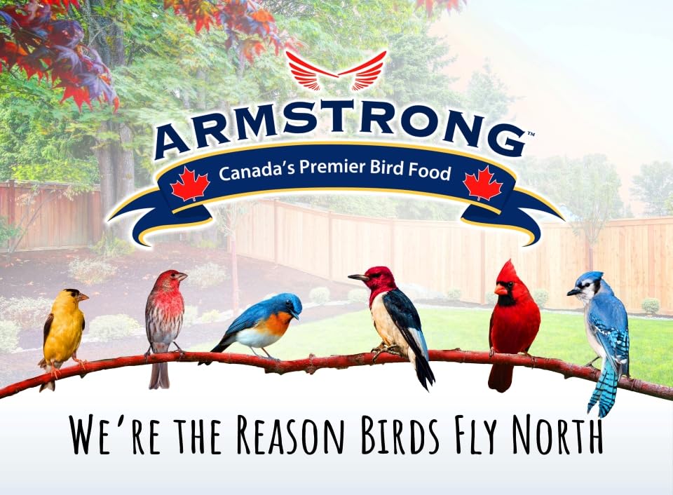 Armstrong Wild Bird Food Black Oil Sunflower Bird Seed, 35.3 Pounds - for Northern Cardinals, Blue Jays and Ha - view 7