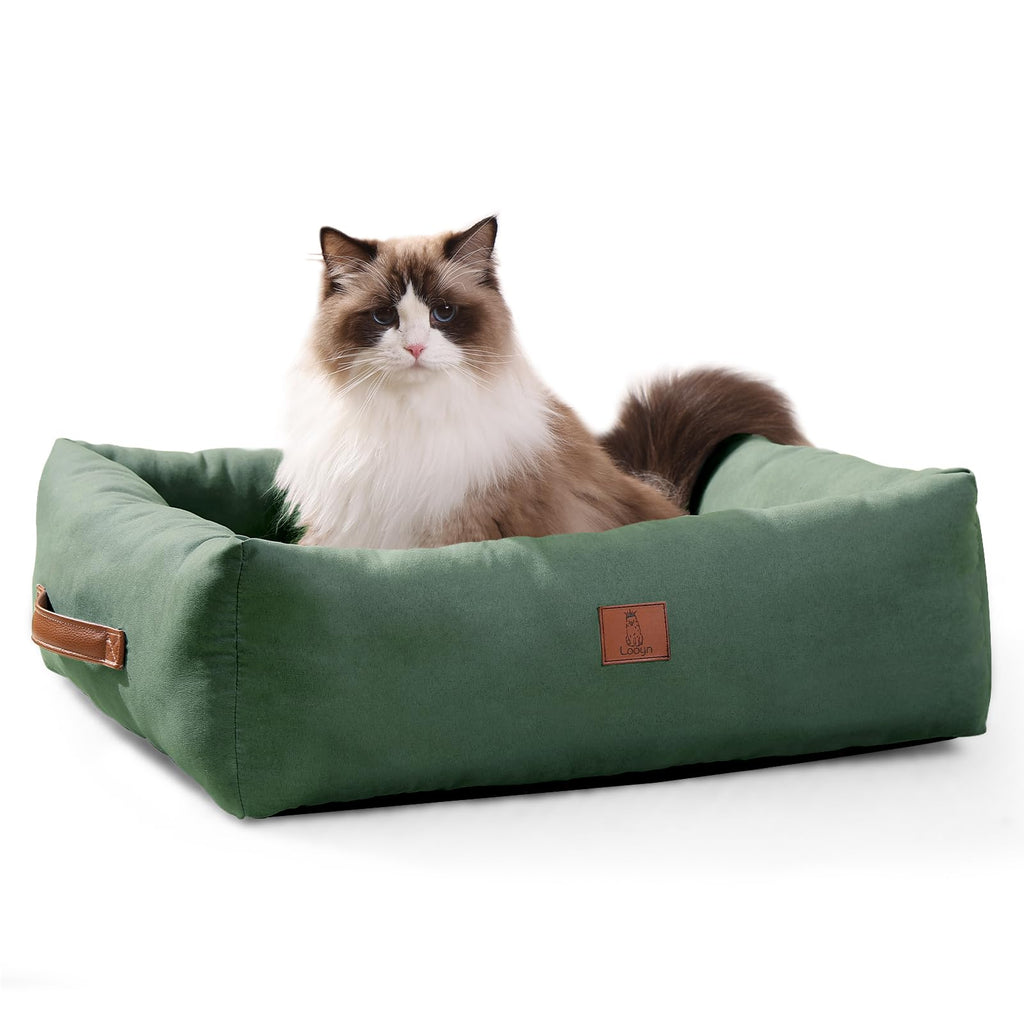 20In Dog Bed for Small Dogs & Cats - Washable Rectangle Cat Kitten Bed for Indoor Pets, Cozy Cute Puppy Bed wi