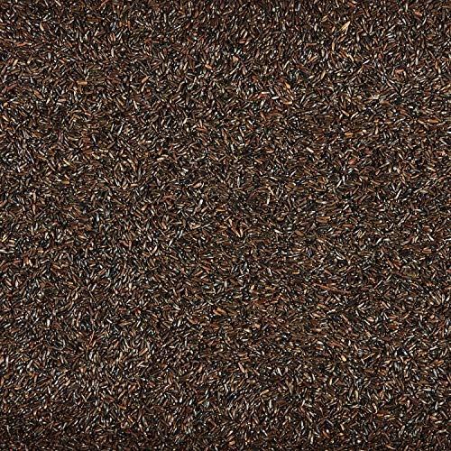 Kaytee Nyjer Wild Bird Food Seed, 5 Pound - view 4