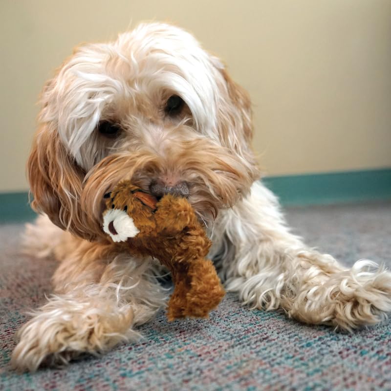 KONG Low Stuffing with Squeaker Dog Toy, X-Small, 3 Animals, Bear, Duck, Frog - view 5