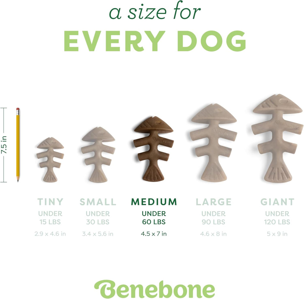 Benebone Fishbone Durable Dog Chew Toy for Aggressive Chewers, Real Fish, Made in USA, Medium - view 3