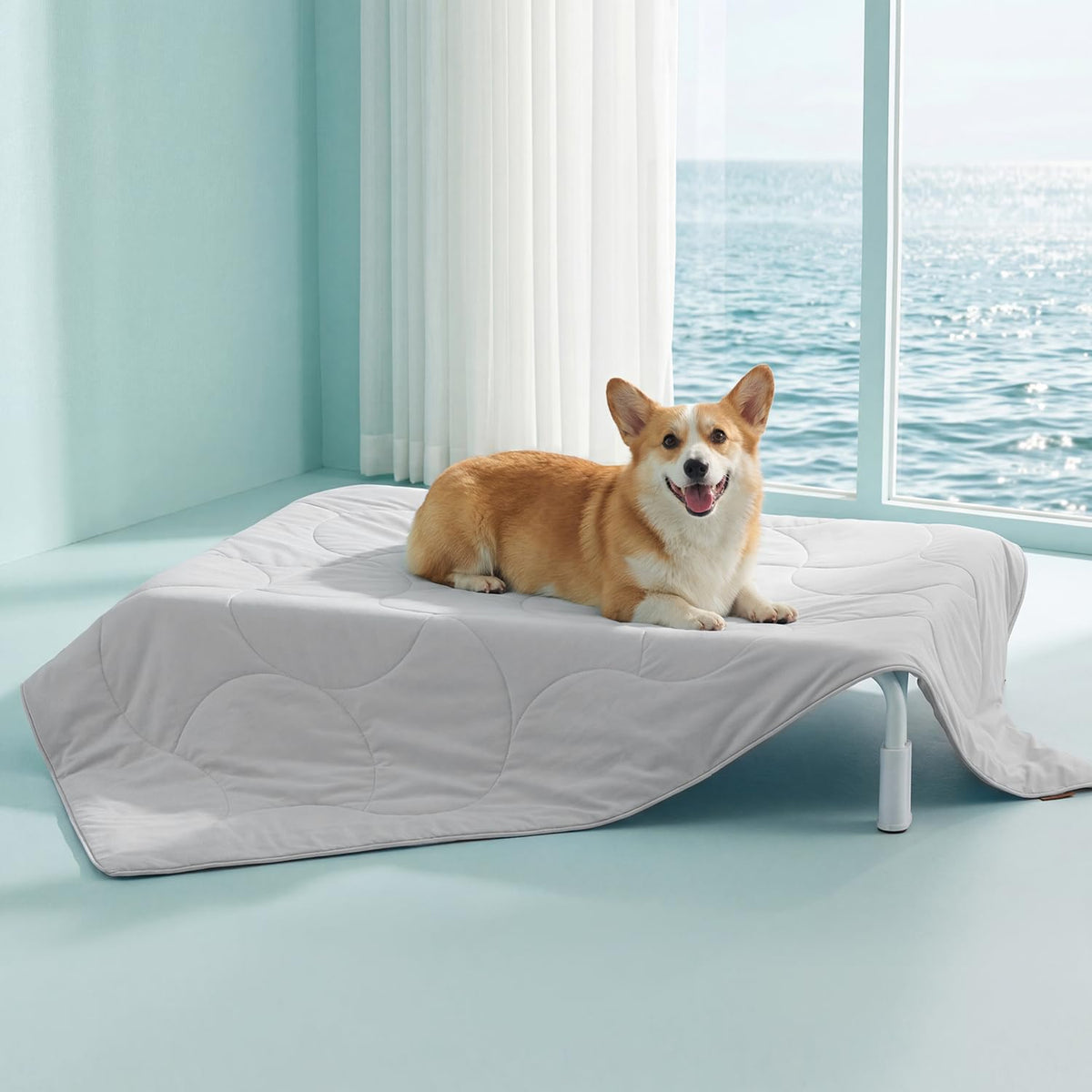 ZOMISIA Premium Cooling Blanket for Large Dogs - Q-MAX>0.5 Breathable Washable Dog Cooling Mat, Travel Soft Pe