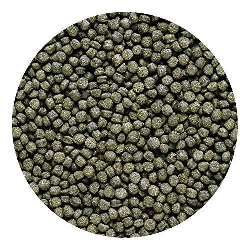 Hikari 12-Ounce Cichlid Excel Sinking Pellets for Pets, Mini - view 5