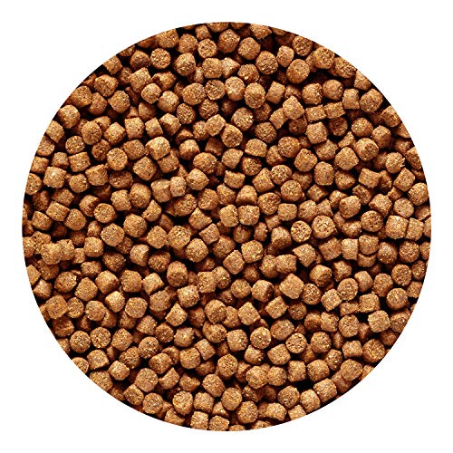 Hikari 12-Ounce Sinking Cichlid Gold Pellets for Pets, Mini - view 5