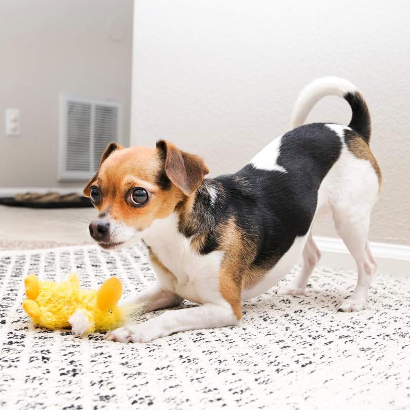 KONG Low Stuffing with Squeaker Dog Toy, X-Small, 3 Animals, Bear, Duck, Frog - view 3