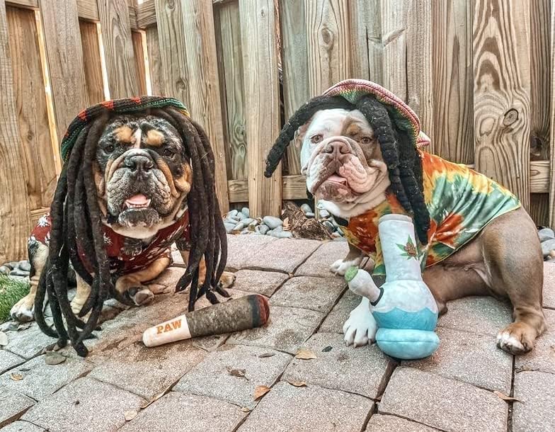 Nestpark Doggy Doobie - Funny Dog Toys - Plush Squeaky Toys for Medium, Small and Large - Cool Stuffed for Dog - view 4