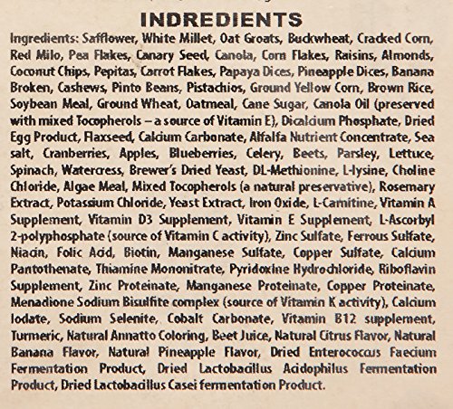 Higgins 466125 Safflower Gold Natural Food For Conure/Cockatiel, 25-Pound - view 5