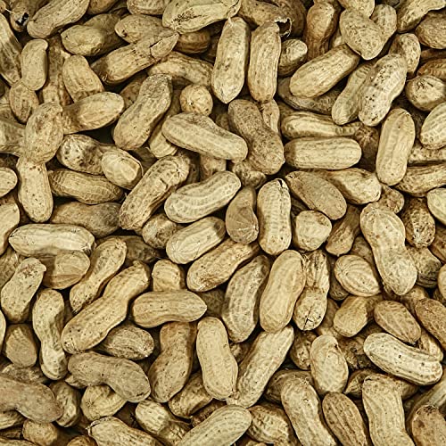 Kaytee Whole Peanuts in Shell for Cardinals, Blue Jays, Woodpeckers and Other Outside Wild Birds, Two 5 Pound  - view 4