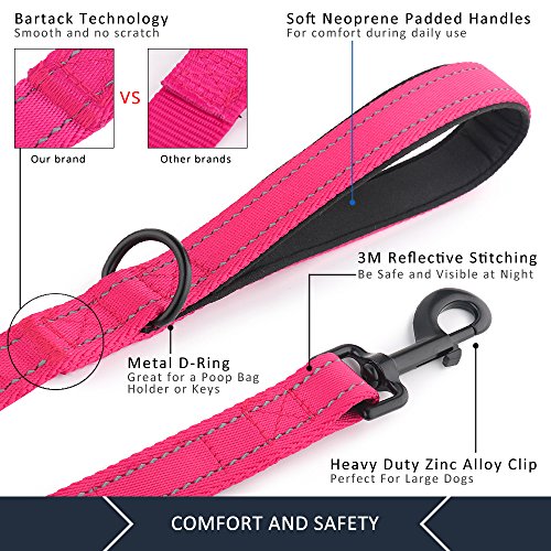 Plutus Pet Double Handle Dog Leash 6ft Long, Padded 2 Handle, Heavy Duty, Reflective Training Leash for Medium - view 5