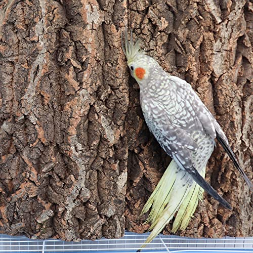 2 Pack 12 x 8 Inch 100% Natural Cork Perch, Bird Cork Seat Boards, Birdcage Bark Decor Accessories for Birds P - view 4
