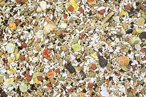 Higgins 2 Pack of Safflower Gold Natural Blend Conure and Cockatiel Food, 3 Pounds Each - view 4