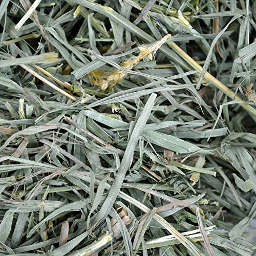 Oxbow Organic Meadow Hay, Guinea Pig & Rabbit Hay, Small Pet Bunny Supplies, All Natural Grass for Guinea Pig, - view 7