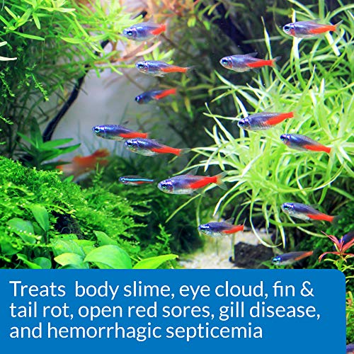 API FIN & BODY CURE Freshwater Fish Powder Medication 10-Count Box - view 5