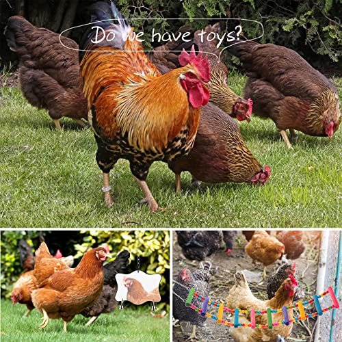 Chicken Toys for Coop 12PCS Set, KAKUNM Chicken Enrichment Toys，Including Xylophone, Swing Set, Mirror Toy, Fl - view 7