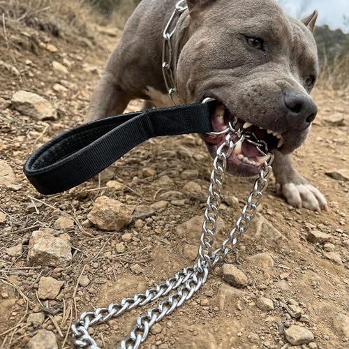 Heavy Duty Dog Leash,Metal Dog Chain Leash with Padded Handle for Large & Medium Size Dogs (6 ft. x 3.0 mm (25 - view 3