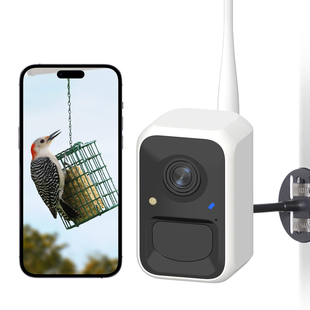 NETVUE by Birdfy Smart Bird Feeder Camera, Adjustable Brackets, Auto Bird Video Capture, Instant Notifications
