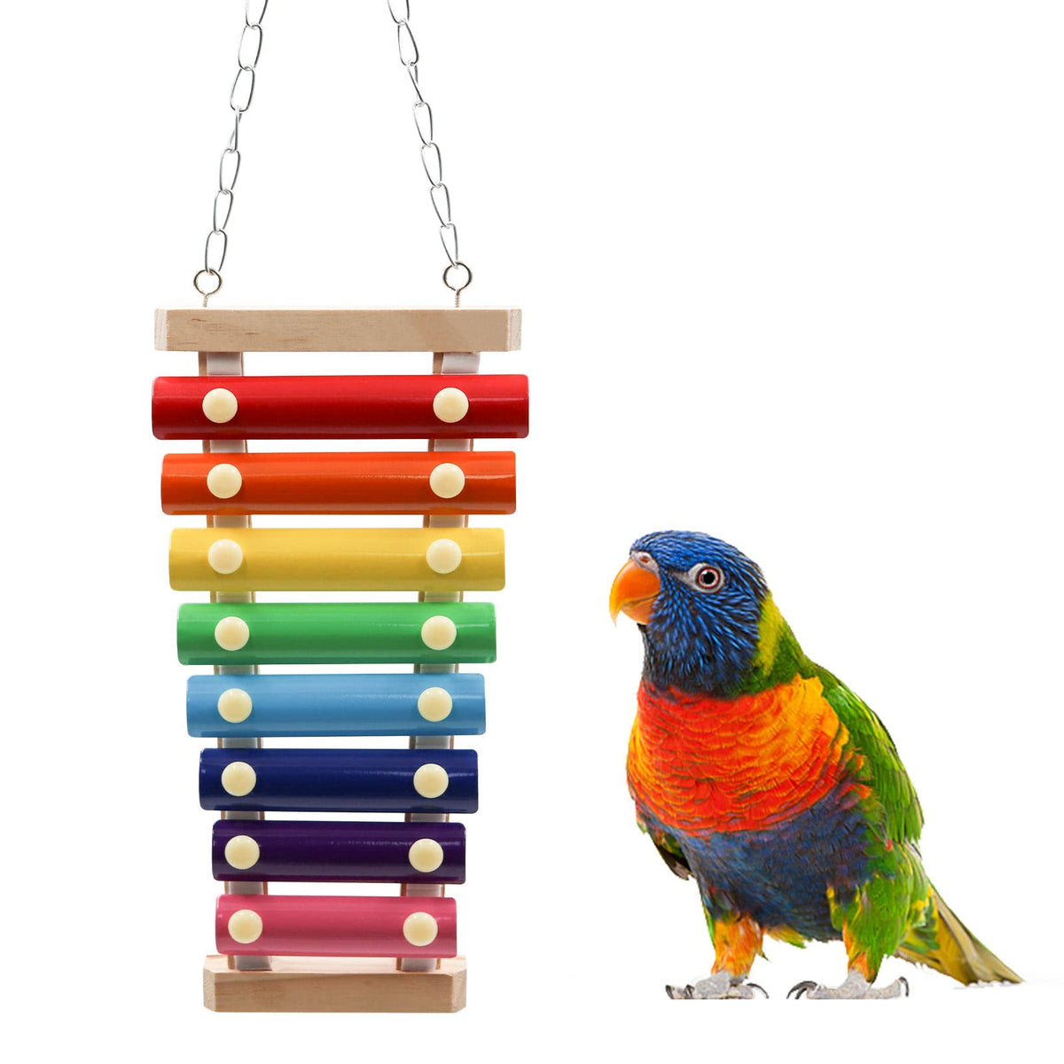 Dnoifne Colorful Bird Xylophone Toy, Suspensible Funny Xylophone Toy with 8 Metal Keys, Cage Accessories for C