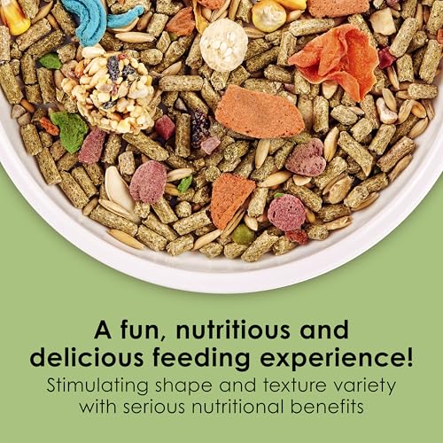 Kaytee Fiesta Guinea Pig Food, Nutritious and Fun Blend, Supports Dental Health and Digestion, 2.5 pounds - view 3
