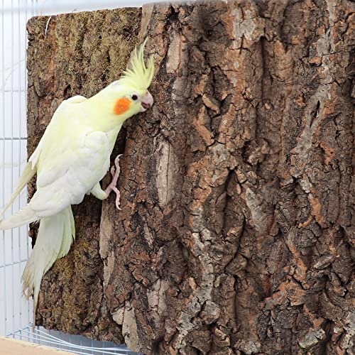 2 Pack 12 x 8 Inch 100% Natural Cork Perch, Bird Cork Seat Boards, Birdcage Bark Decor Accessories for Birds P - view 5