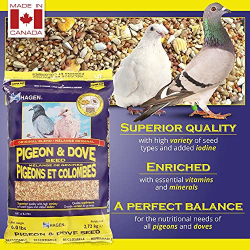 Hagen Pigeon & Dove Seed, Original Formula Bird Food, 6 lb Bag – Nutritionally Complete Seed Mix with Vitamins - view 3