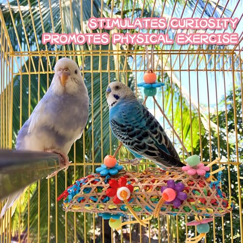 RLRICH 6 Pack Bird Colorful Chewing Toys Parrot Foraging Shredder Toys Shred Hanging Foraging Toys,Comfy Perch - view 3